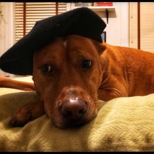 Meet your Posher, Marcella